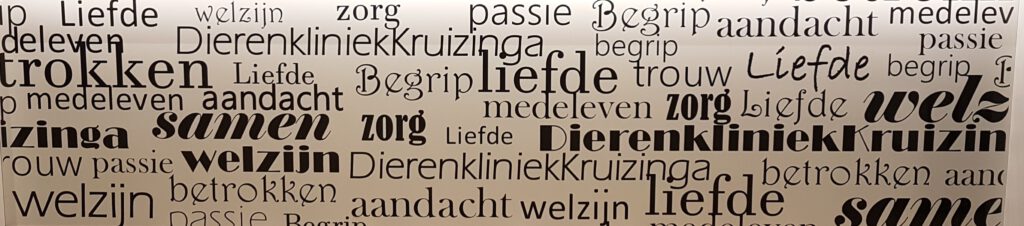 Dierenkliniek Kruizinga: uw huisdier, onze zorg 1 balie